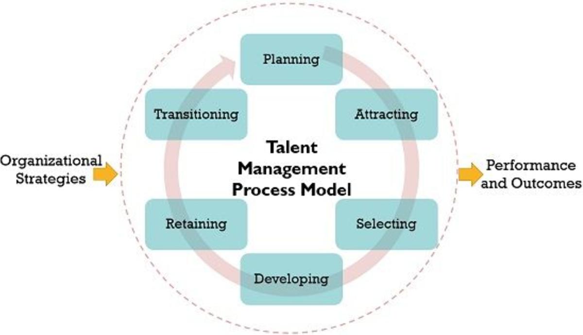 Talent management process