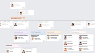 Hospital Org Chart Template