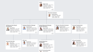 Human Resources Org Chart Template