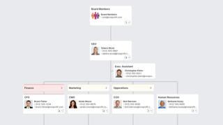 Nonprofit Org Chart Template