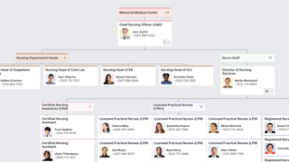 Nursing Org Chart Template