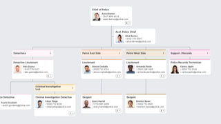 Police Department Organizational Chart Template