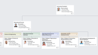 University Org Chart Template